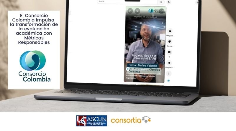 cabezote imagenes web