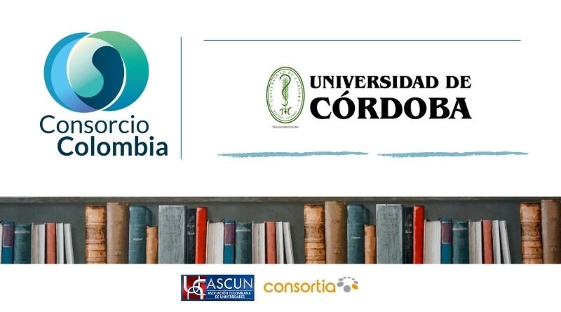 cabezote imagenes web