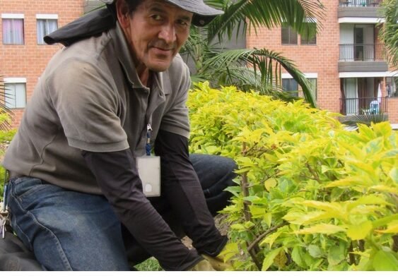 jardinero
