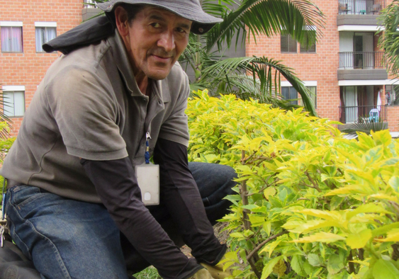 jardinero